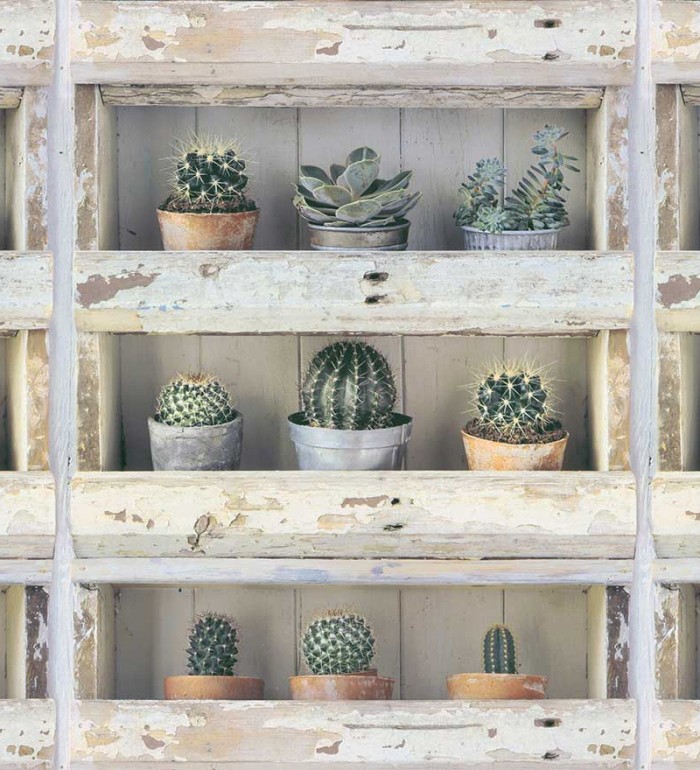 Papel pintado estantería con plantas de cactus - Annie Plants 127133