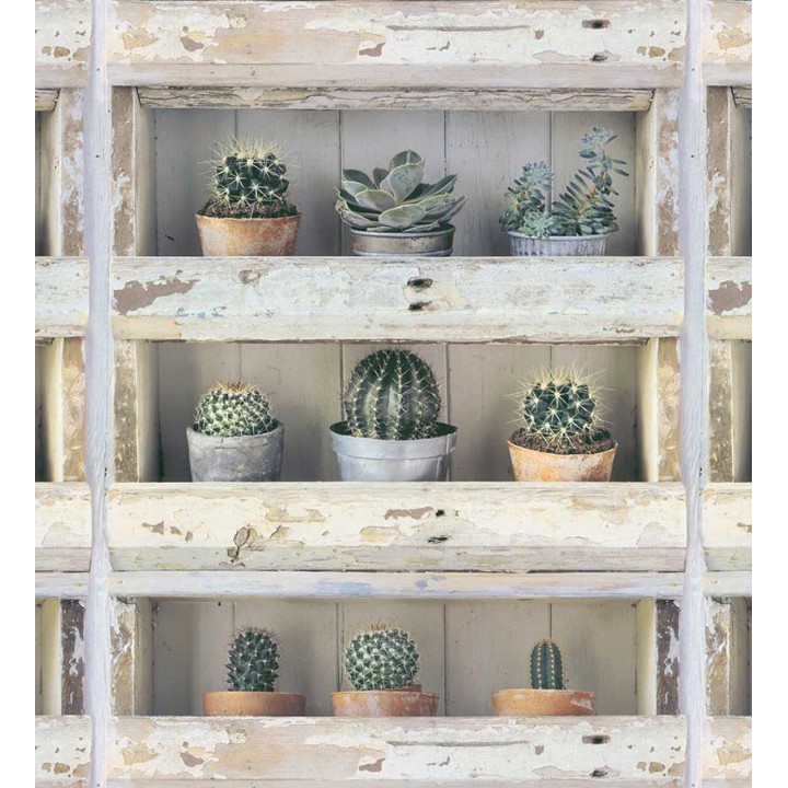 Papel pintado estantería con plantas de cactus - Annie Plants 127133