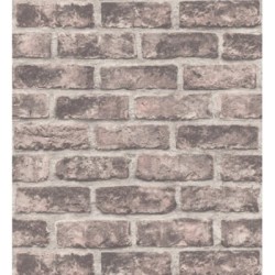 Carter Street 127160