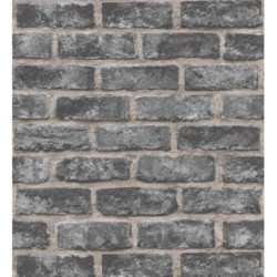 Carter Street 127161