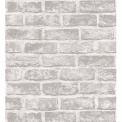 Carter Street 127162