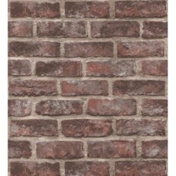 Walter Street 127177