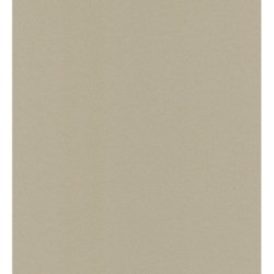 Asland Texture 127195