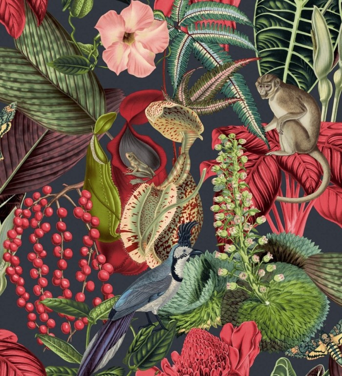 Papel pintado tropical de monos en la jungla - Samoa Jungle 127209