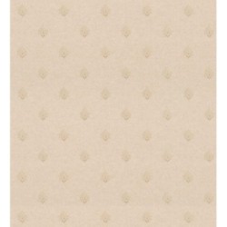 Classio Sardone 127300