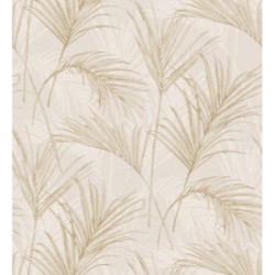 Borneo Nature 127312