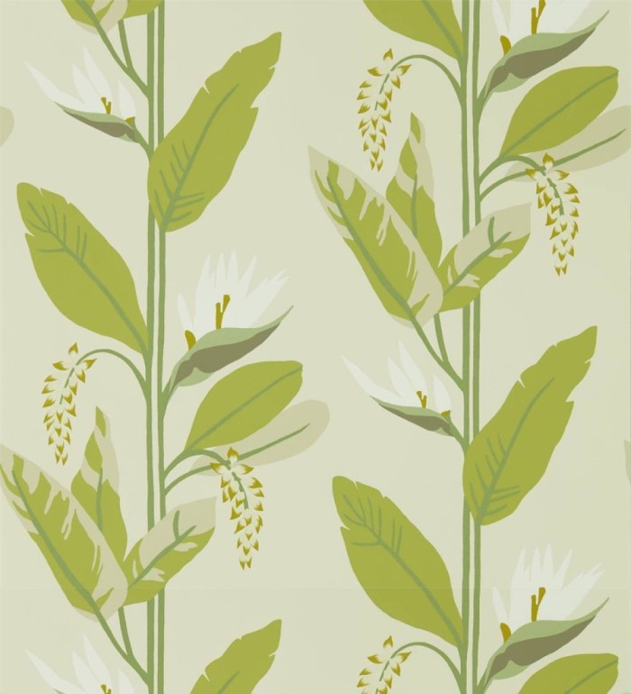 Papel pintado hojas modernas verdes - Morris Valley 127462