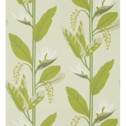 Morris Valley 127462