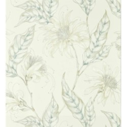 Scarlet Flowers 127471