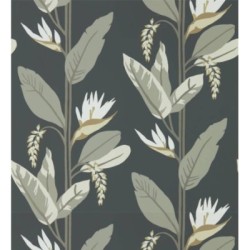 Morris Valley 127475