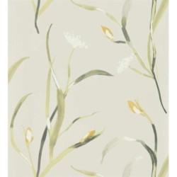 Madison Fields 127506