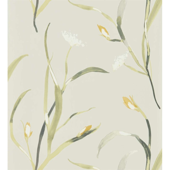 Papel pintado hojas finas y elegantes pintadas con acuarela - Madison Fields 127506