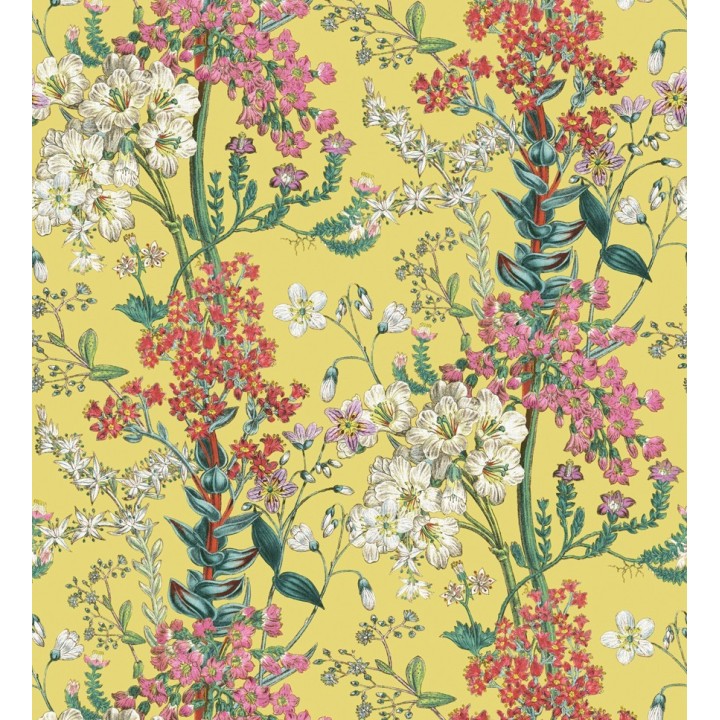 Papel pintado florecillas silvestres en rama fondo amarillo - Kaila Flowers 127517