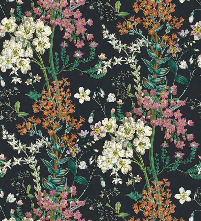 Papel pintado florecillas silvestres en rama fondo negro - Kaila Flowers 127519