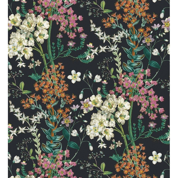 Papel pintado florecillas silvestres en rama fondo negro - Kaila Flowers 127519