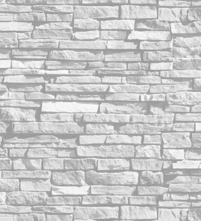 Papel pintado piedra pizarra gris claro - Falcon Stone 127593