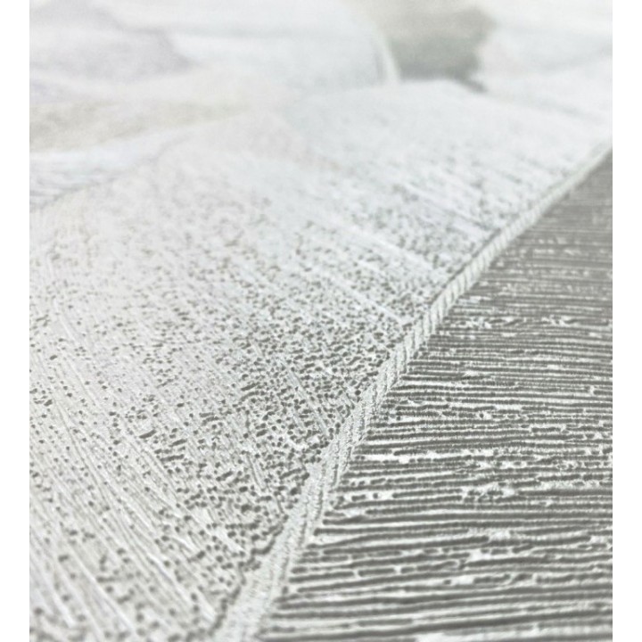 Florida Palms 127657