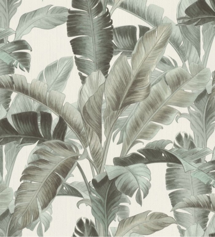 Papel pintado hojas grandes de la jungla estilo tropical - Jungle House 127706