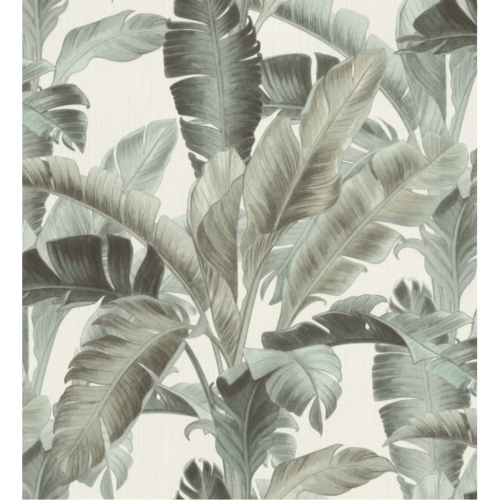 Papel pintado hojas grandes de la jungla estilo tropical - Jungle House 127706