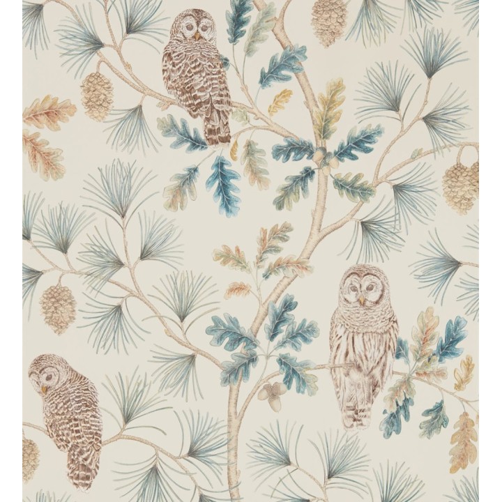 Papel pintado de búhos en ramas de árboles - Albus Forest 127760