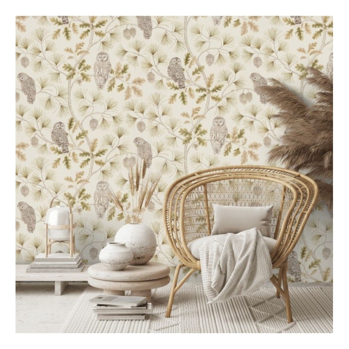 Papel pintado de búhos en ramas de árboles - Albus Forest 127762