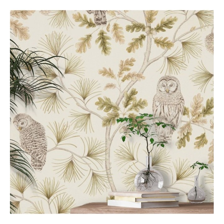 Papel pintado de búhos en ramas de árboles - Albus Forest 127762