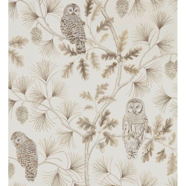 Papel pintado de búhos en ramas de árboles - Albus Forest 127763
