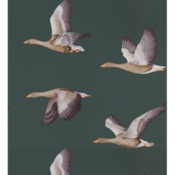 Papel pintado Sajonia Birds 127768