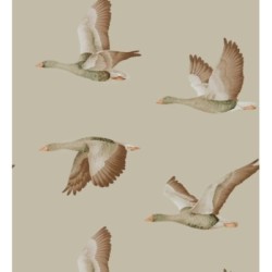 Papel pintado Sajonia Birds 127769