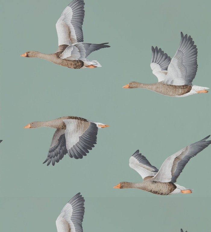 Papel pintado aves volando fondo verde grisáceo - Sajonia Birds 127770