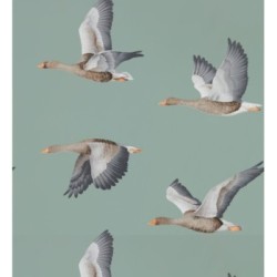 Papel pintado Sajonia Birds 127770