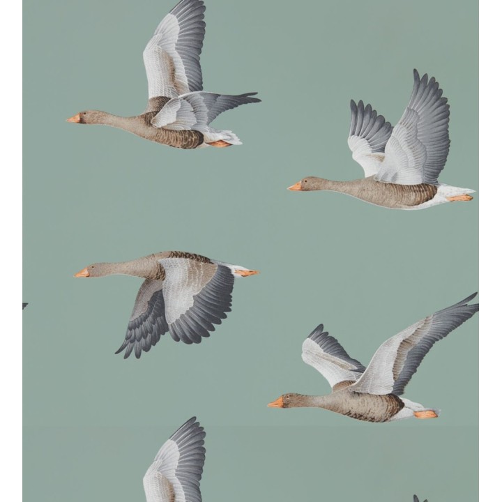 Papel pintado aves volando fondo verde grisáceo - Sajonia Birds 127770