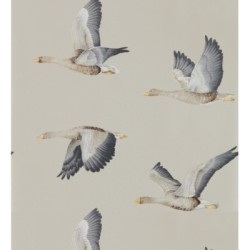 Papel pintado Sajonia Birds 127771