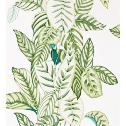 Papel pintado Palms Resort 127775