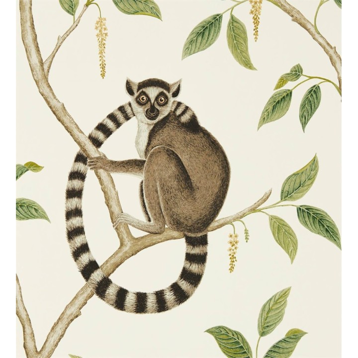 Papel pintado lemures en ramas fondo claro - Lemur Garden 127794
