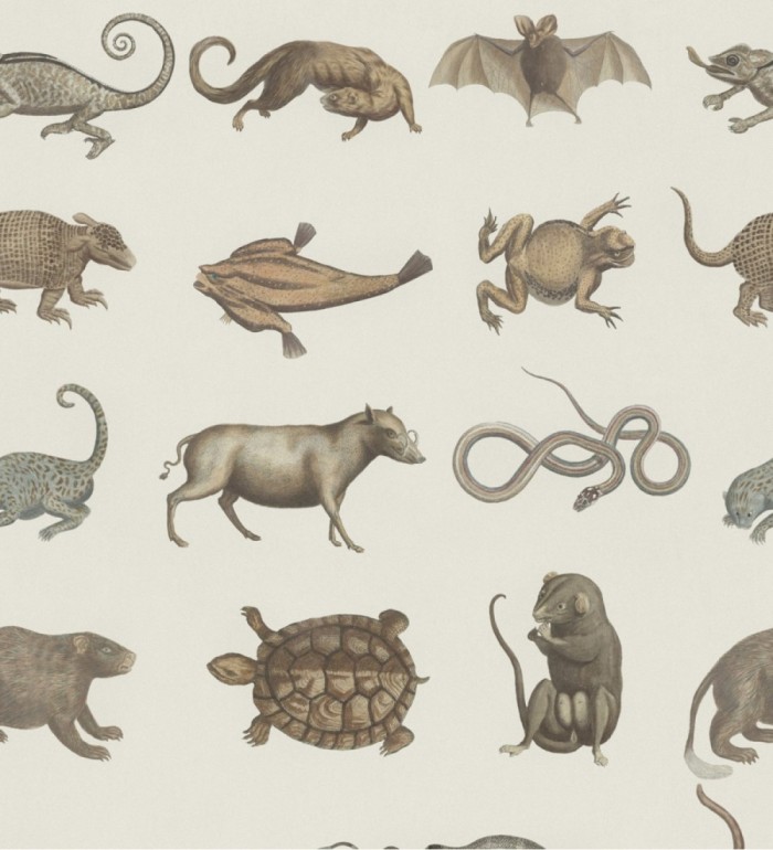 Papel pintado diferentes animales como tortugas o serpientes - Lab Friends 127815