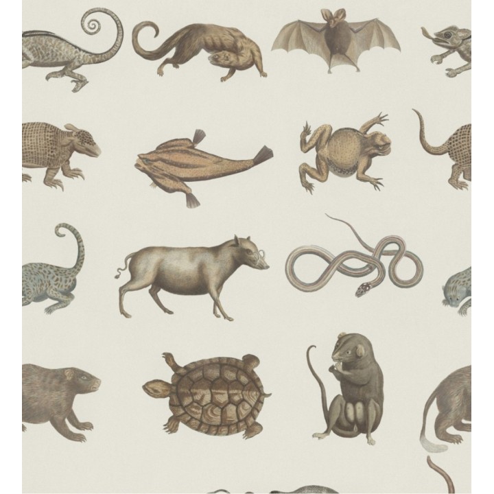 Papel pintado diferentes animales como tortugas o serpientes - Lab Friends 127815