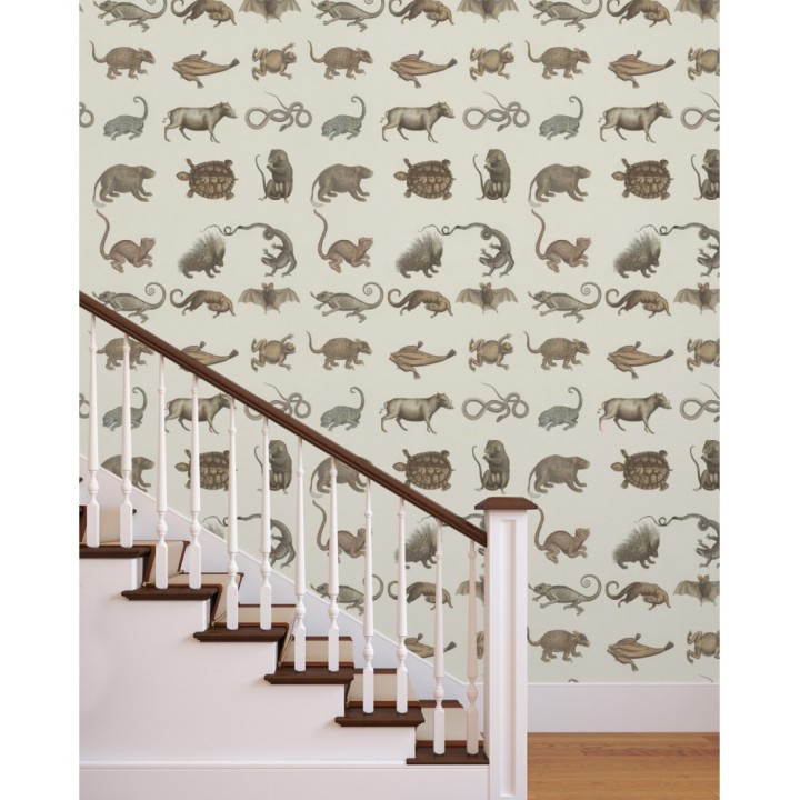 Papel pintado diferentes animales como tortugas o serpientes - Lab Friends 127815