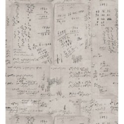 Einstein Notes 127859