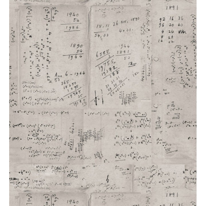 Papel pintado artístico de operaciones matemáticas vintage - Einstein Notes 127859