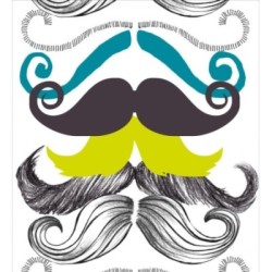 Moustache Choice 127902