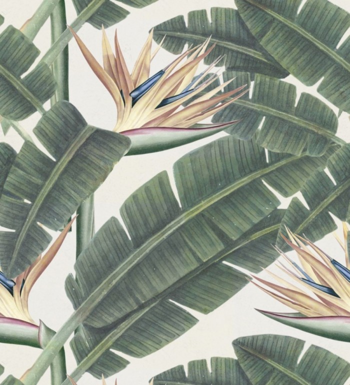 Papel pintado hojas grandes de la selva tropical - Reginae Blossom 127909