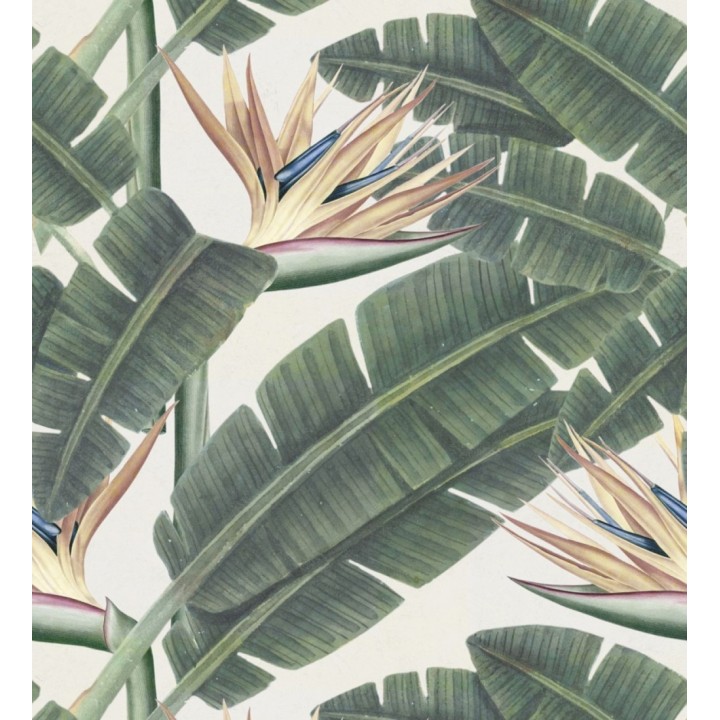 Papel pintado hojas grandes de la selva tropical - Reginae Blossom 127909