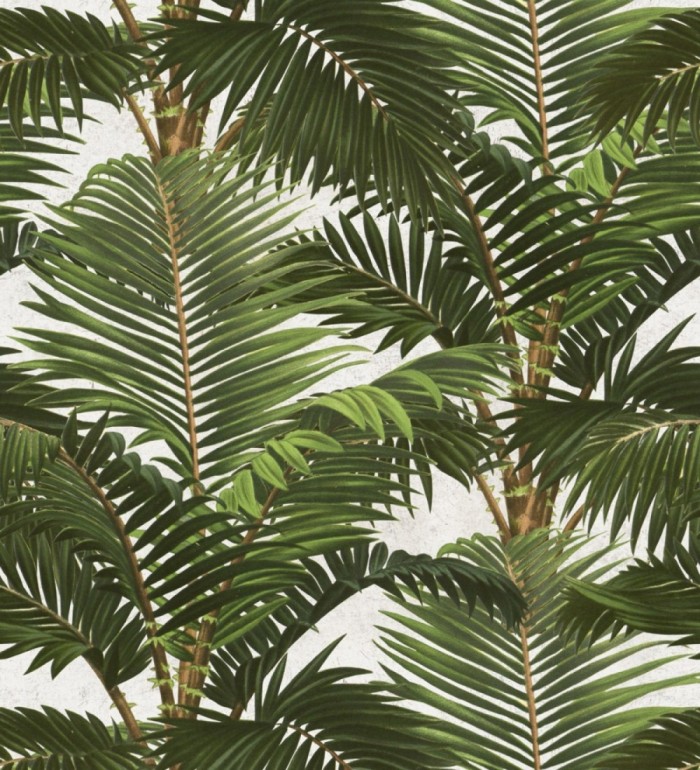 Papel pintado hojas de palmera estilo tropical - Cernei Palms 127917