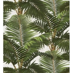 Papel pintado Cernei Palms 127917