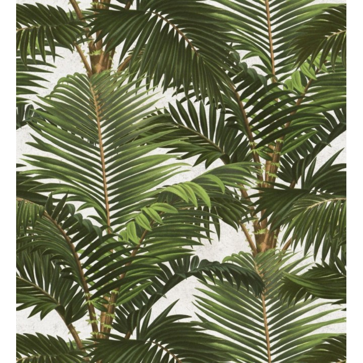 Papel pintado hojas de palmera estilo tropical - Cernei Palms 127917