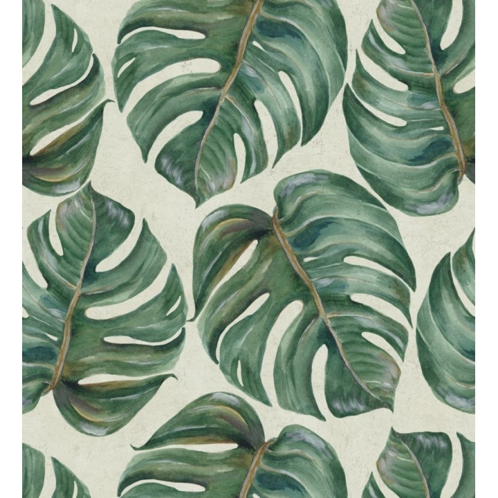 Papel pintado hojas de montsera estilo tropical - Prince Palms 127922