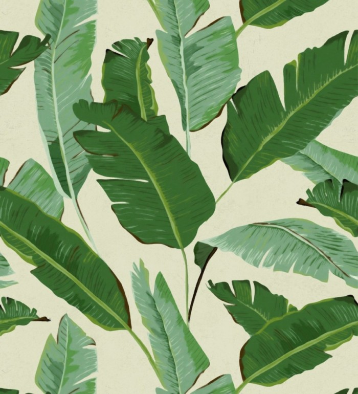 Papel pintado hojas grandes estilo tropical - Tropical Jane 127924