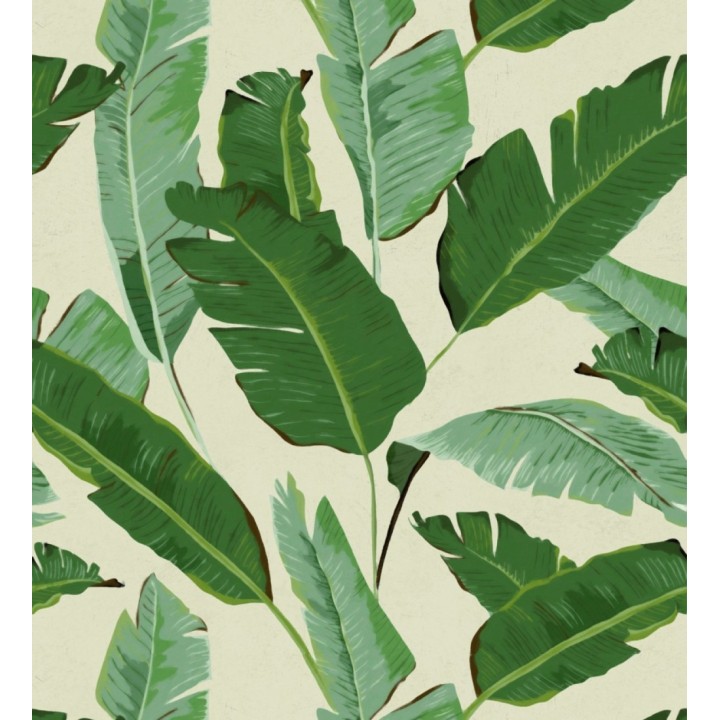Papel pintado hojas grandes estilo tropical - Tropical Jane 127924