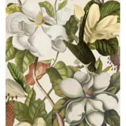 Papel pintado Michaela Blossom 127926